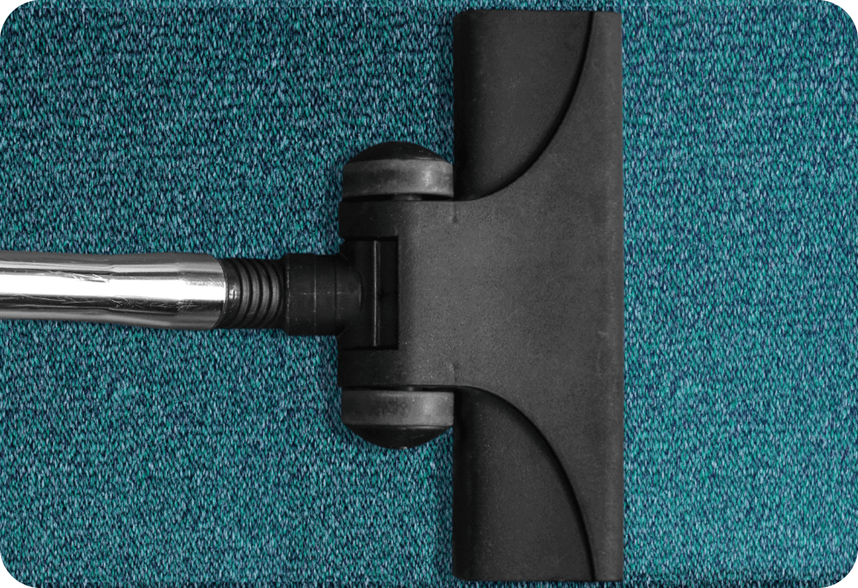 Carpet Cleaning